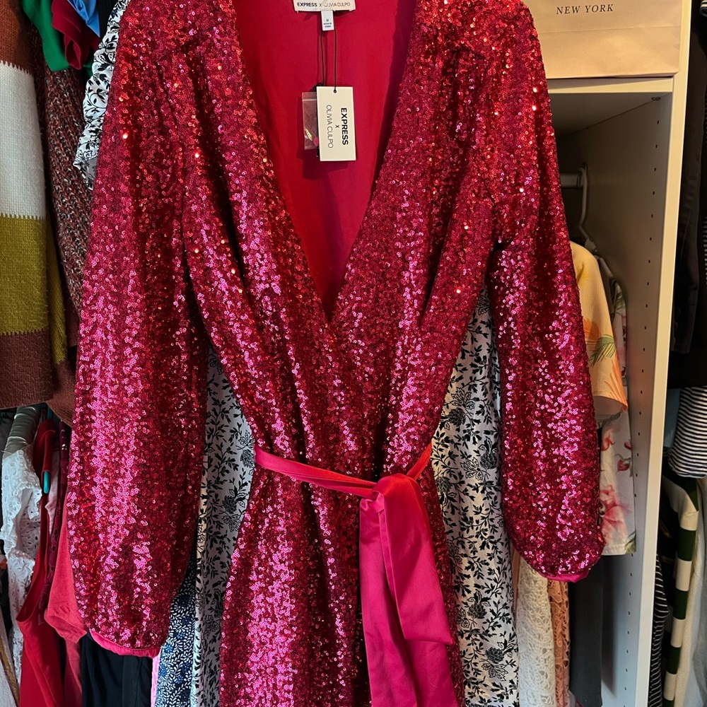 NWT Olivia Culpo X Express Sequin Dress